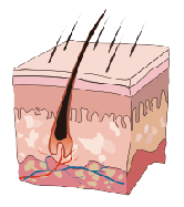 O melhor dispositivo EpiMED- da beleza da remoção do cabelo do preço SHR IPL